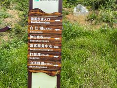 -广州白江湖森林公园