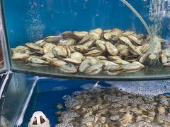 -蓝珊甄选海鲜自助·火锅大排档(近阿那亚店)