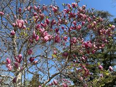 -国家图书馆·古籍馆