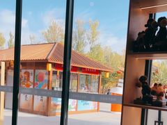 -金塔沙漠胡杨林景区