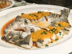 -燕郊烧鸽子(酷车小镇店)