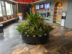 -大鸭梨烤鸭(枣园店)