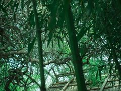 -大连植物园