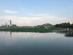 -月湖风景区