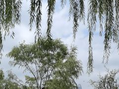 -济南大明湖景区