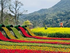 -广州市石门国家森林公园