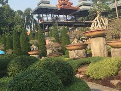 -东芭乐园