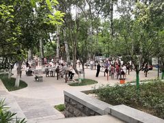 -莲湖公园