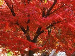 -上海交通大学(闵行校区)