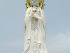 -白洋淀景区