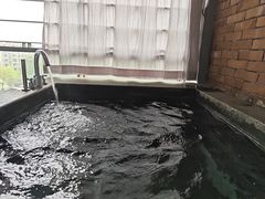 -汇雅温泉