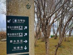 -月湖风景区