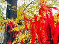-金堂县云顶石城风景区