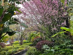 -腾冲洞山温泉村