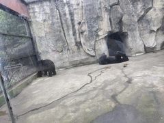 -南昌动物园