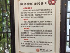 -镇江中国醋文化博物馆