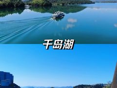 -夏山营地教育