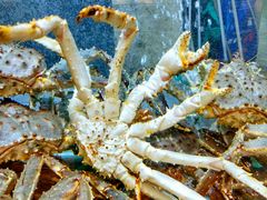 -海逸海鲜酒家(古北店)