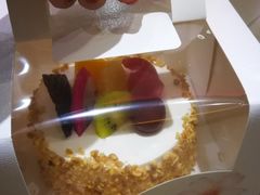 -丽莎蓓甜CAKE生日蛋糕·动物奶油(石家庄店)