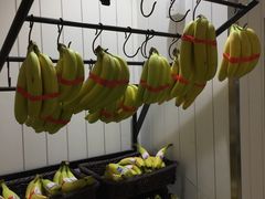 -AEON永旺(东方宝泰店)