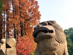 -上海醉白池公园