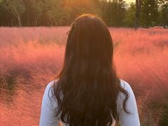 -昆山城市生态森林公园