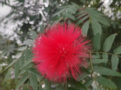 -北京植物园-展览温室