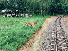-秦皇岛野生动物园