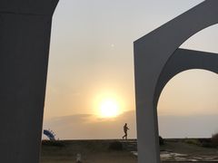 -空港花田景区