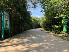 -府君山公园