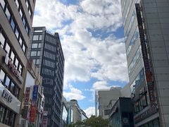 -乐天免税店(明洞店)