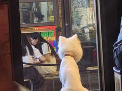 -安家村酒馆