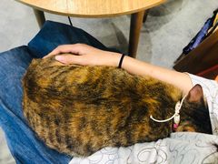 -小尾巴宠物店(万科·金域华庭店)