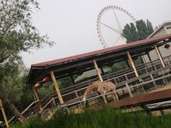 -辛玛王国游乐园