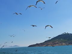 -海驴岛(荣成市)