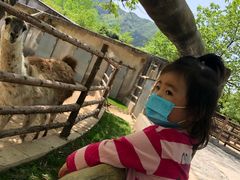 -西安秦岭野生动物园