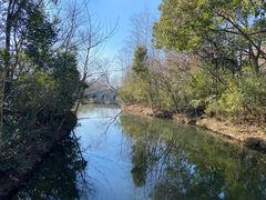 -溱湖国家湿地公园