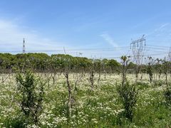 -嘉北郊野公园
