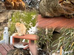 -终南山南五台景区