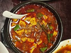 -陈麻婆豆腐总店