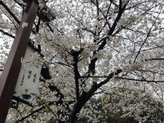-堤角公园