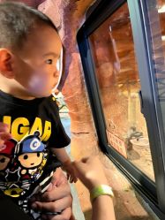 -酷嗒动物文化乐园(cutezoo西溪乐天城店)