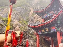 -老君山风景名胜区