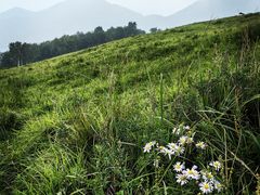 -灵山