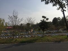 -扬州天乐湖嬉乐谷
