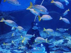 -海合安武汉极地海洋公园