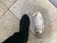 -蚝专家(北滘店)
