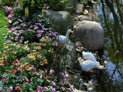 -上海共青森林公园