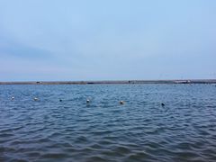 -碧海金沙