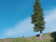 -新疆那拉提国家旅游度假区